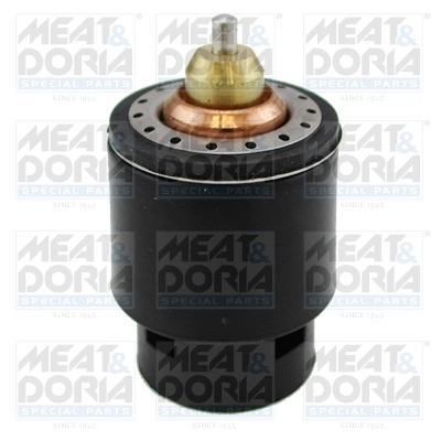 Thermostat, coolant